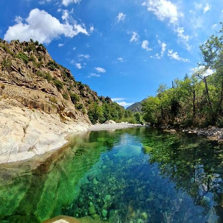 Domaine U Filanciu - Casa Ghjulia - Centru Di Corsica Villa Moltifao Bagian luar foto