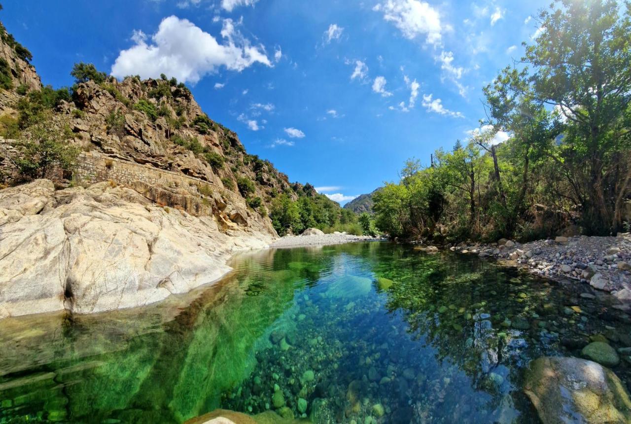 Domaine U Filanciu - Casa Ghjulia - Centru Di Corsica Villa Moltifao Bagian luar foto